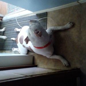 Meet your Posher, Deatra